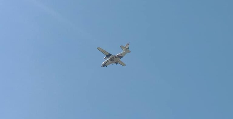 गिद्ध देखिदा आकाशमा तीन फन्का घुम्यो विमान