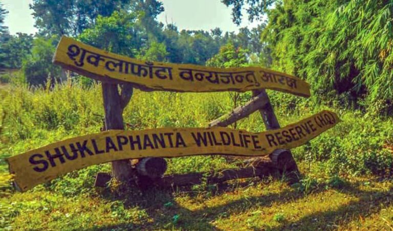 तारजालीको छेकबार लगाएपछि कञ्चनपुरमा मानव–वन्यजन्तु द्वन्द्व घट्यो