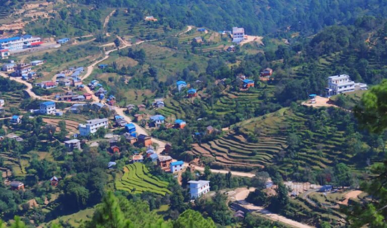 अछामको चौरपाटीमा खुलेआम अवैध मदिराको कारोबार