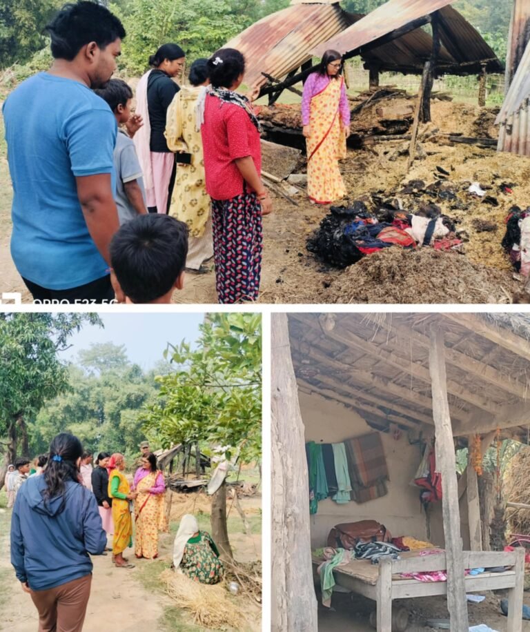 उपमेयर जोशीद्धारा आगलागी भएक स्थलको अनुगमन,नगरपालिकाले सहयोग गर्ने प्रतिबद्धता