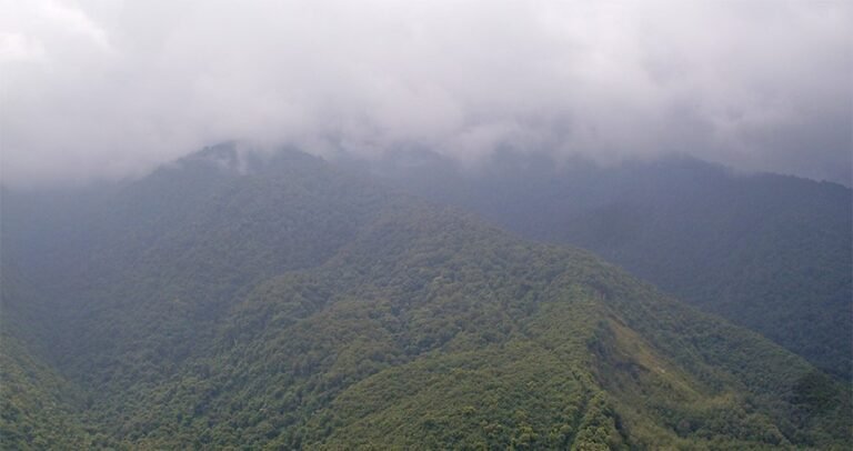 फूलचोकीको जंगलबाट हराए १३ जना