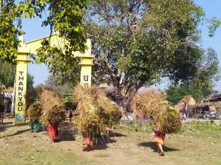 शुक्लाफाँटा राष्ट्रिय निकुञ्जमा खर(खडाई सुरु