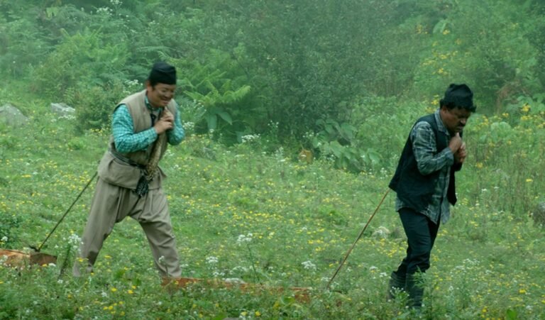 दयाहाङ र जितुको कार्साङु ले कति पायो शो रु