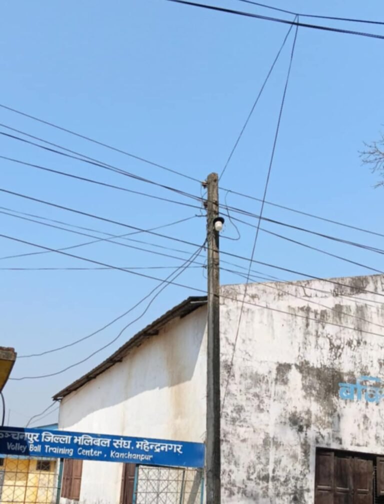 बिधुत चोरीमा भलिवल संघको संलग्नता, प्रशिक्षकदेखि कर्मचारीसम्मको मिलेमतो