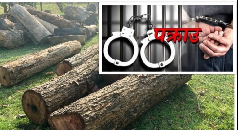 मध्यवर्ती दोधाराका सचिव तथा ऐमालेका पुर्व वडा सदस्य धानुक काठ चोरीको आरोपमा पक्राउ