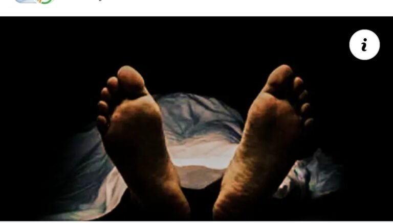 कैलालीमा हावाहुरीले ढलेको रूख लागेर एक शिक्षकको मृत्यु