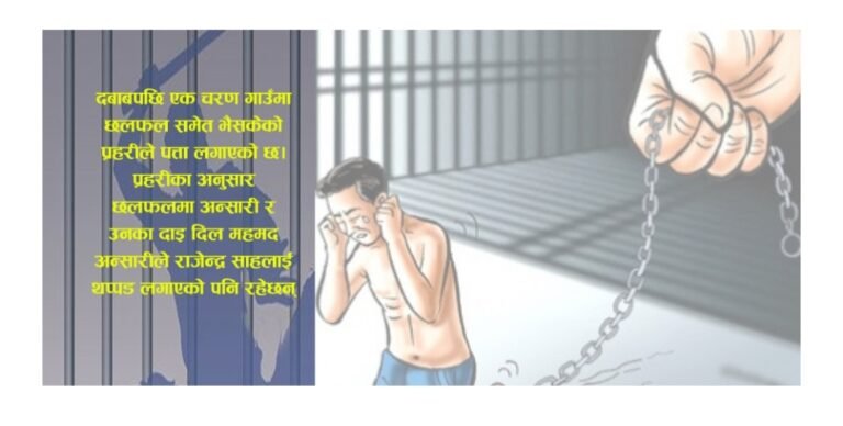 आफ्नाे पसलमा बिहेको गहना नकिने भन्दै सर्लाहीका सुन पसलेले सुँगुर खोरमा थुनेर दिए यातना