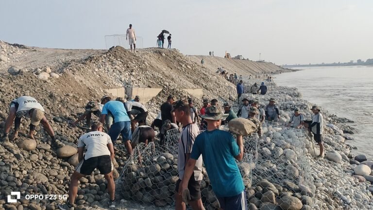 चार लेन पुलको तटबन्ध पुनर्निर्माणमा चुरेका ढुंगा प्रयोग गरिने