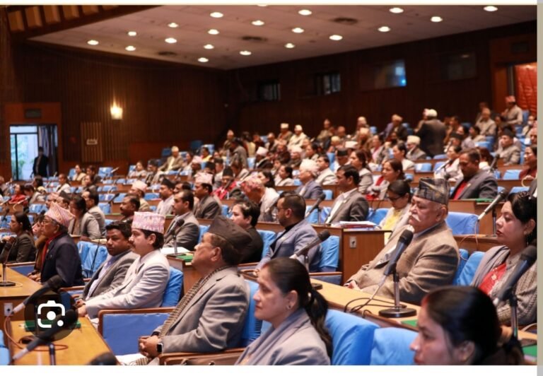 नागरिकता विधेयक प्रतिनिधिसभाबाट पारित