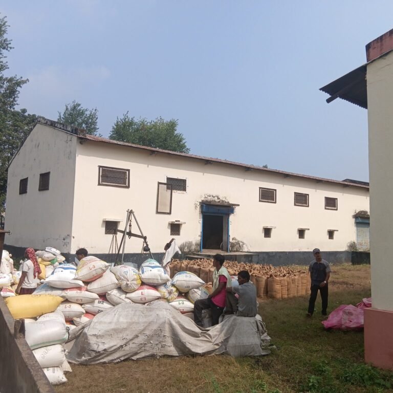 सस्तोमा धान बेचेपछि बल्ल धान खरिद गर्दै खाद्य व्यापार कम्पनी, किसानमाथि अन्याय