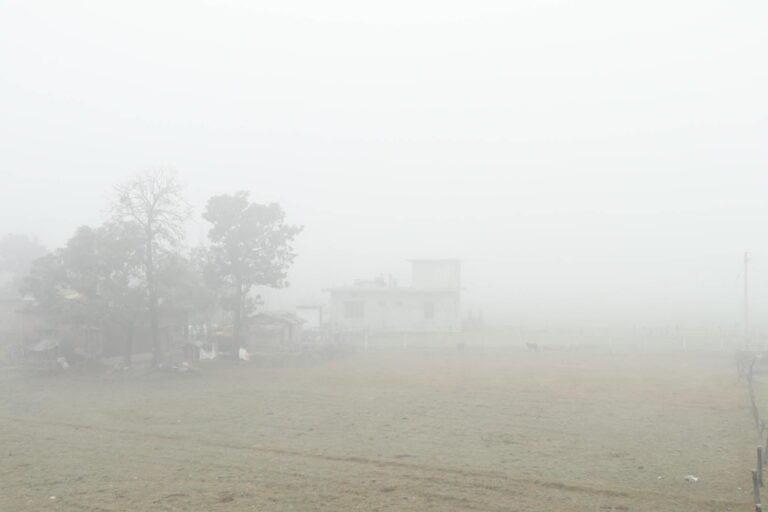 तराईमा लाग्ने बाक्लो हुस्सु र शितलहरका कारण जन–जिवन प्रभावित बन्दै, शितलहरबाट बच्ने यस्ता छन् उपाय