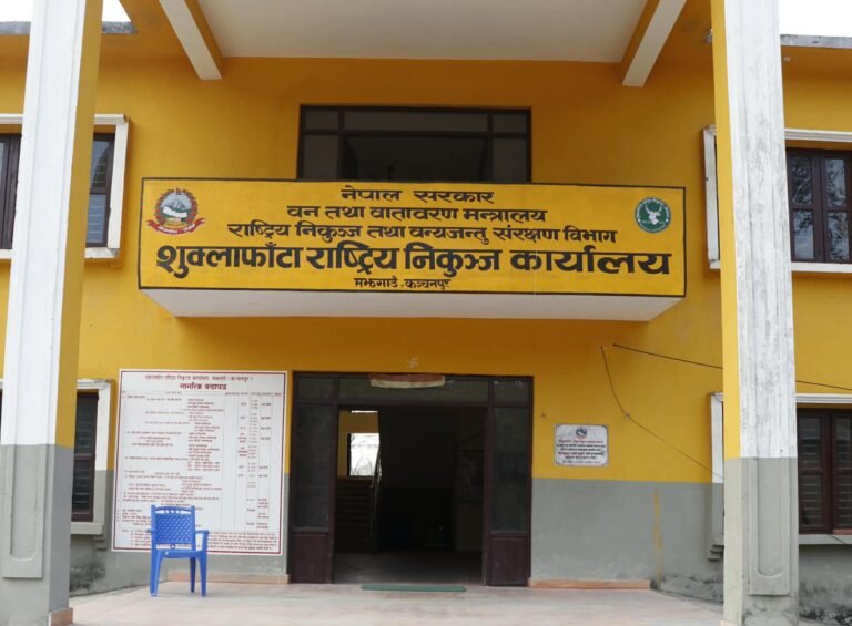 कञ्चनपुर बाघको बच्चा मृत्यु प्रकरणः निकुन्जको लापरवाहिले मरेको होईन,बाघेनीकै जिम्मा लगाउन खोज्दा घटना घटेको होः निकुन्ज