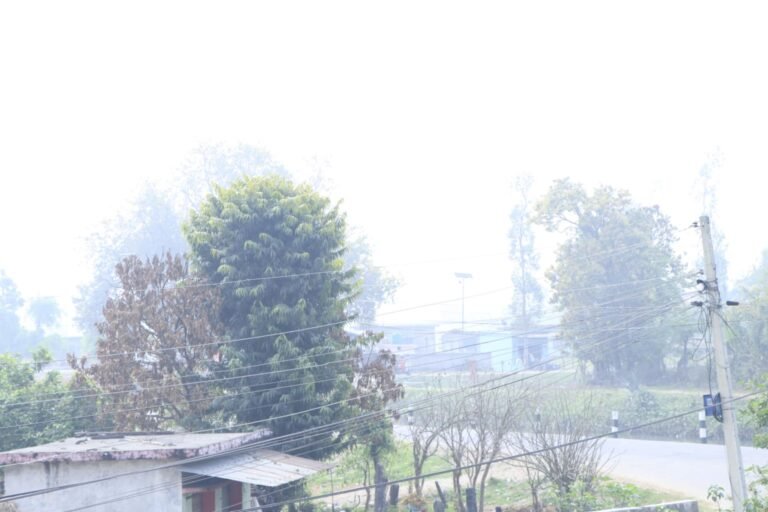 कञ्चनपुरमा बायु प्रदुषणको असर, तस्बिर ऐश्वर्या कुवँर कञ्चनपुर